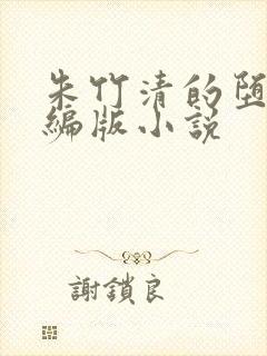 朱竹清的堕落改编版小说封面