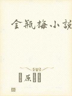 金瓶梅小说在线封面