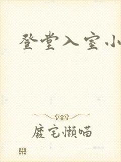 登堂入室小说