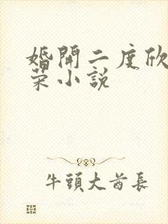 婚开二度欣欣向荣小说封面