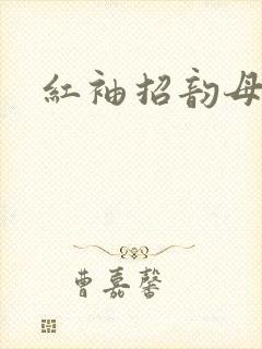 红袖招韵母攻略