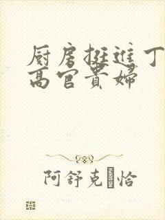 厨房挺进丁字裤高官贵妇