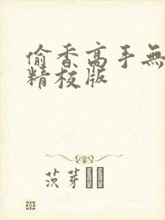 偷香高手无删减精校版