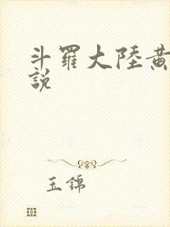 斗罗大陆黄色小说封面