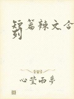 短篇辣文合集系列