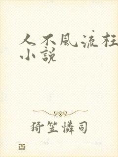 人不风流枉少年小说