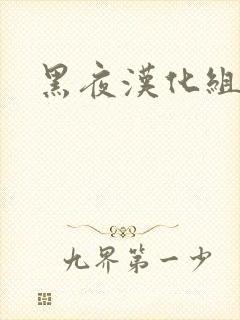黑夜汉化组
