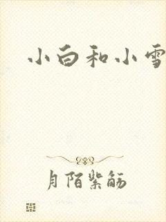 小白和小雪