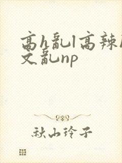 高h乱l高辣h文乱np封面