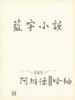 蓝宇小说