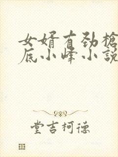 女婿有劲枪枪到底小峰小说