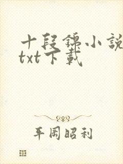 十段锦小说全本txt下载