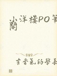 小洋楼PO笔趣阁