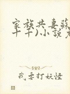 家族共妻苏苏(十千)小说免费