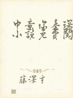 中意你秦琛苏沫小说免费阅读