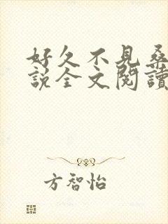 好久不见桑玠小说全文阅读未删减