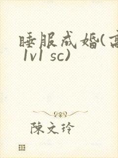 睡服成婚(高h 1v1 sc)