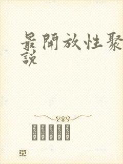 最开放性聚会小说