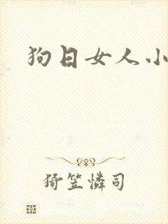 狗日女人小说
