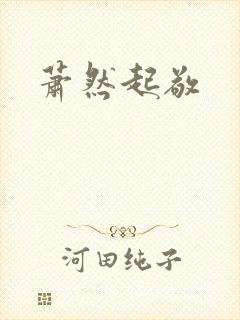 萧然起敬封面