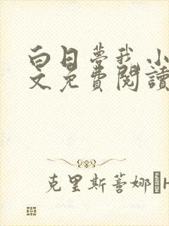 白日梦我小说全文免费阅读