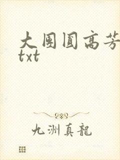 大团圆高芳小说txt