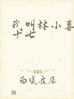 我叫林小喜今年十七