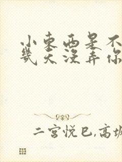 小东西是不是好几天没弄你了作文