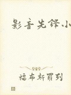 影音先锋小说封面