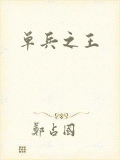 单兵之王