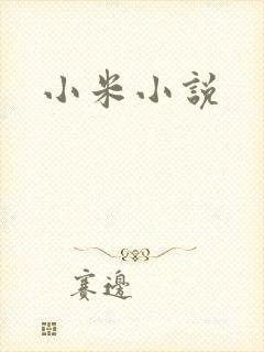 小米小说
