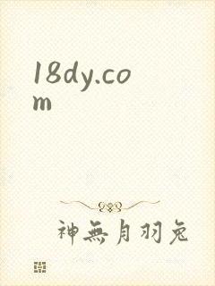 18dy.com