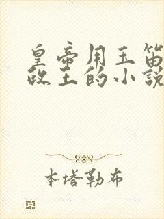 皇帝用玉笛整摄政王的小说