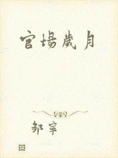 官场岁月