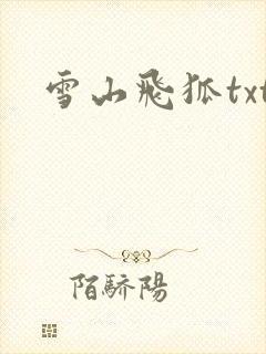 雪山飞狐txt