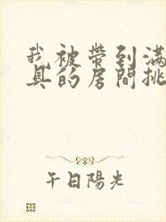 我被带到满是玩具的房间挑调作文