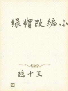 绿帽改编小说封面