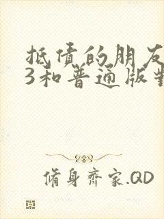 抵债的朋友麦子3和普通版对比