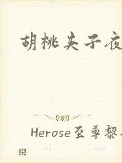 胡桃夹子夜未眠