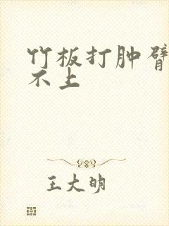竹板打肿臂缝合不上封面