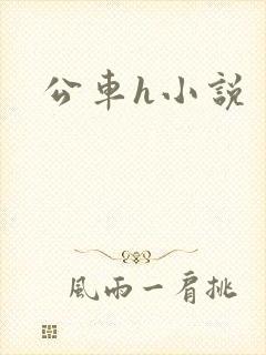 公车h小说