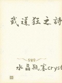武道狂之诗
