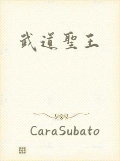 武道圣王