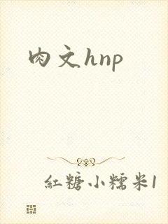 肉文hnp