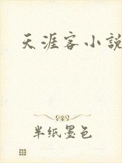 天涯客小说封面