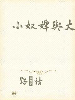 小奴婢与大少爷