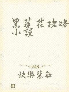 黑莲花攻略手册小说