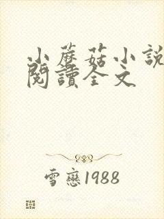 小蘑菇小说免费阅读全文