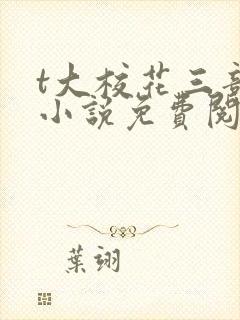 t大校花三部曲小说免费阅读全文