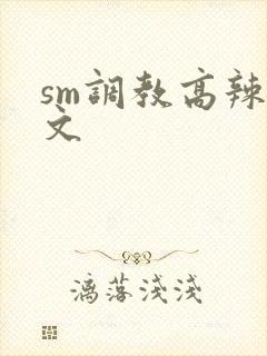 sm调教高辣h文封面
